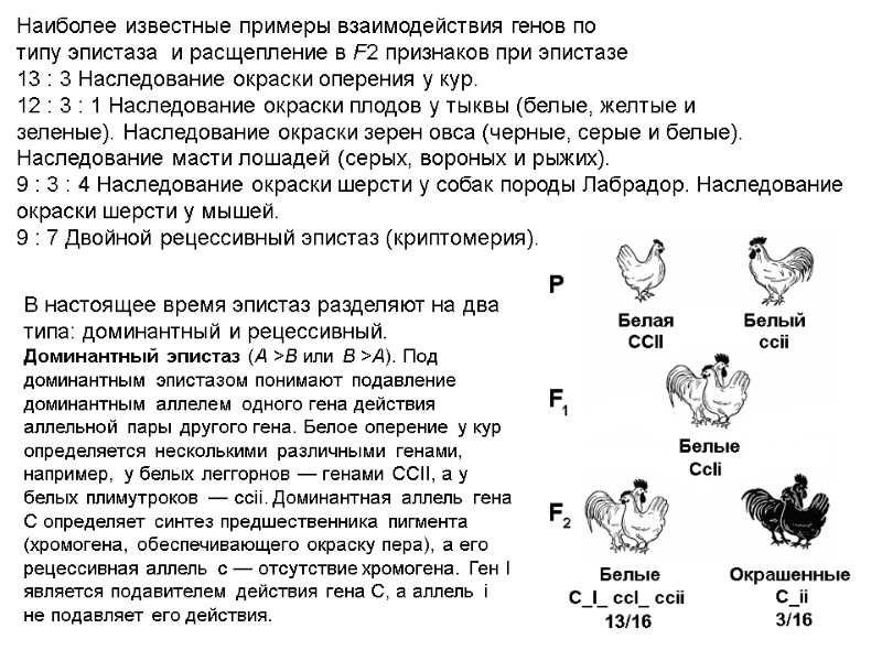 Наиболее известные примеры взаимодействия генов по типу эпистаза  и расщепление в F2 признаков